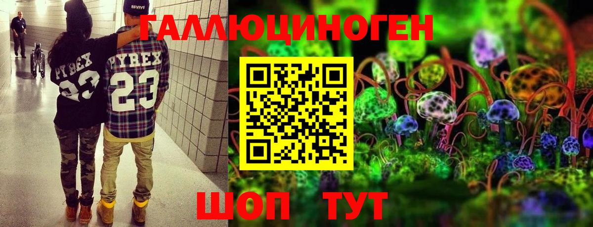 наркотики  Галлюциногенные грибы Psilocybine cubensis  Вход с VPN  Галлюциногенные грибы ЛСД  Рассказово 